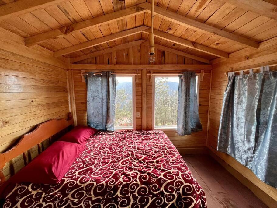 Sheymar Apartment